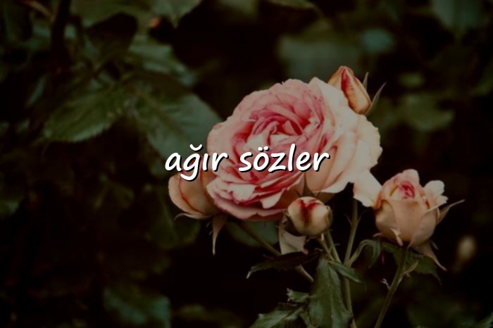 ağır sözler - 2026