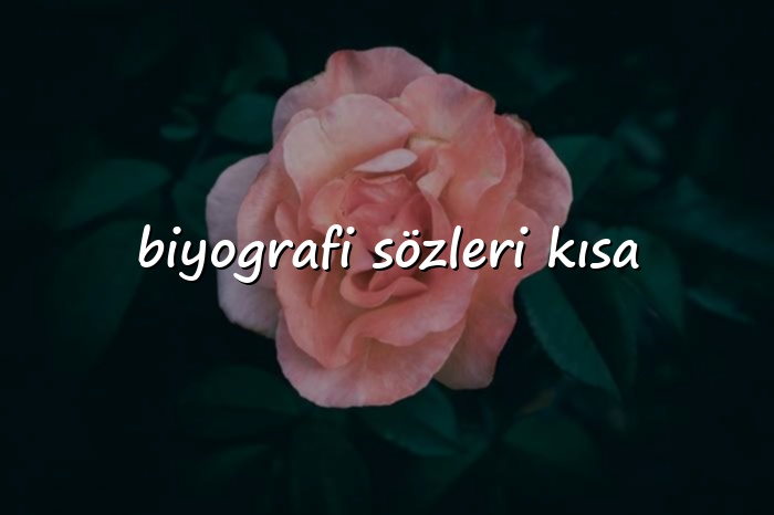 biyografi sözleri kısa - 2026