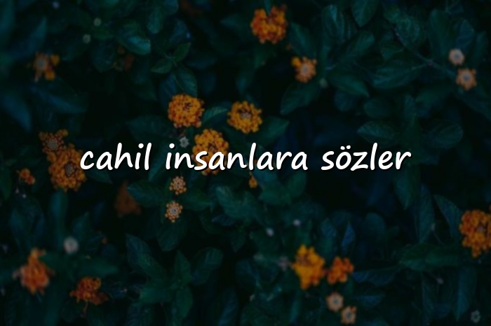 cahil insanlara sözler - 2026