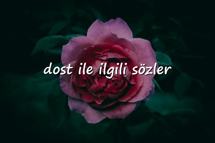 dost ile ilgili sözler - 2026