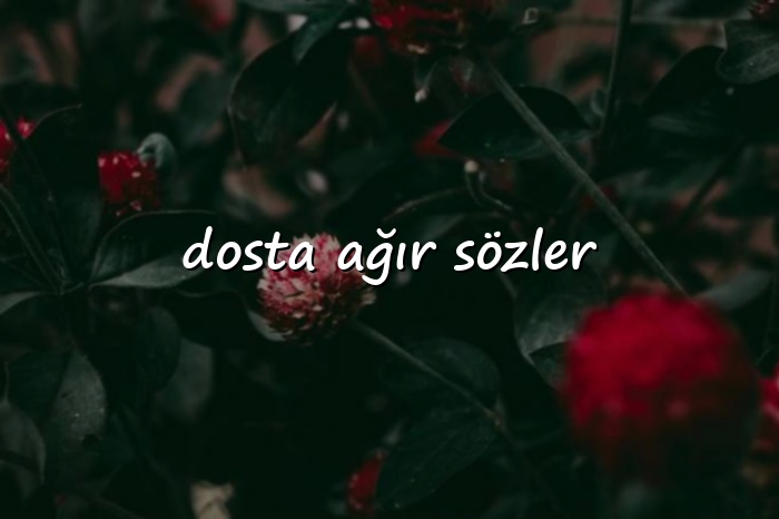 dosta ağır sözler - 2026