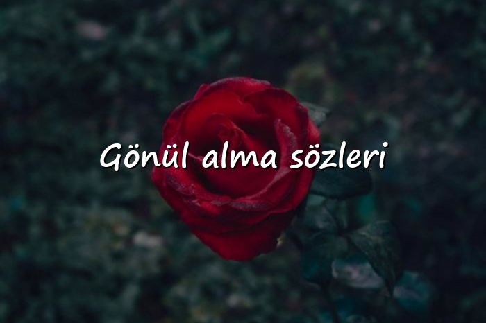 Gönül alma sözleri - 2026