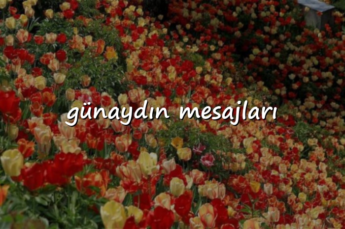 günaydın mesajları - 2026