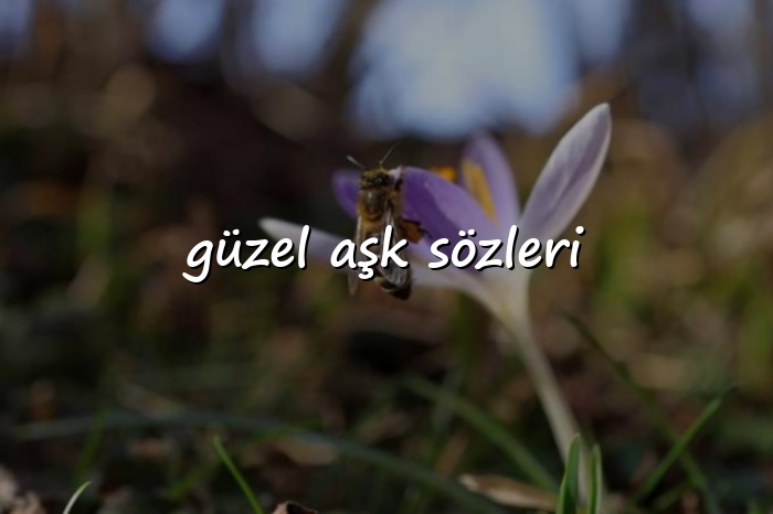 güzel aşk sözleri - 2026
