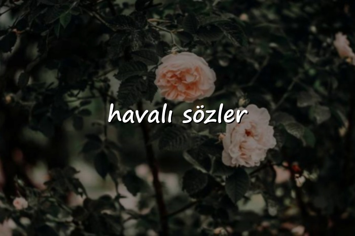 havalı sözler - 2026