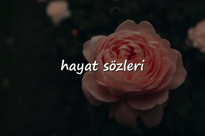 hayat sözleri - 2026