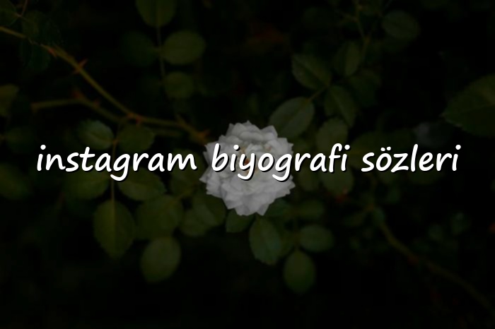 instagram biyografi sözleri - 2026
