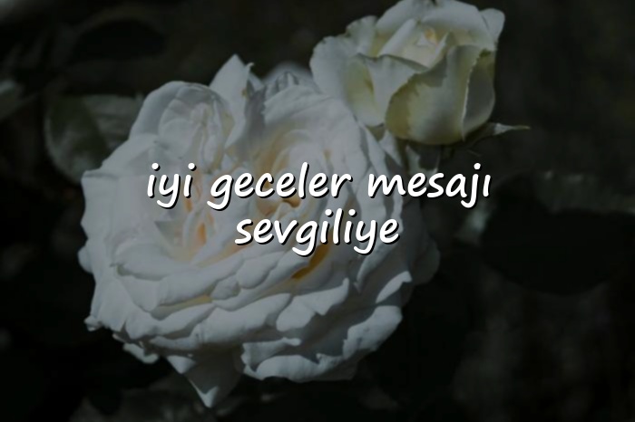 iyi geceler mesajı sevgiliye - 2026