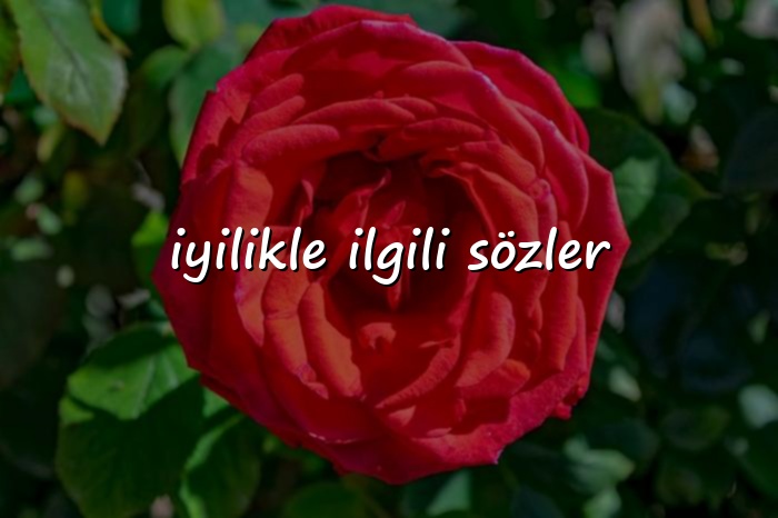 iyilikle ilgili sözler - 2026