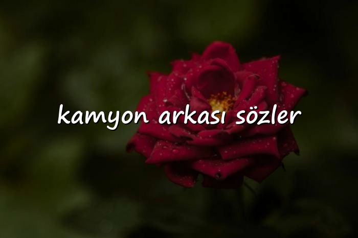 kamyon arkası sözler - 2026