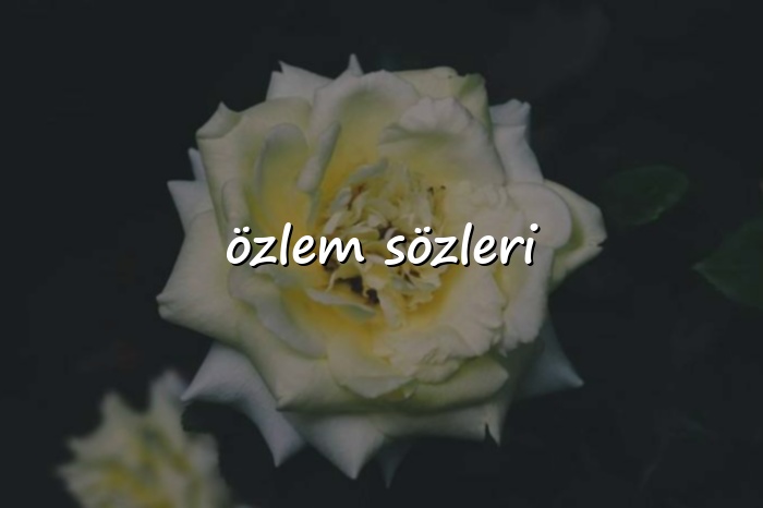 özlem sözleri - 2026