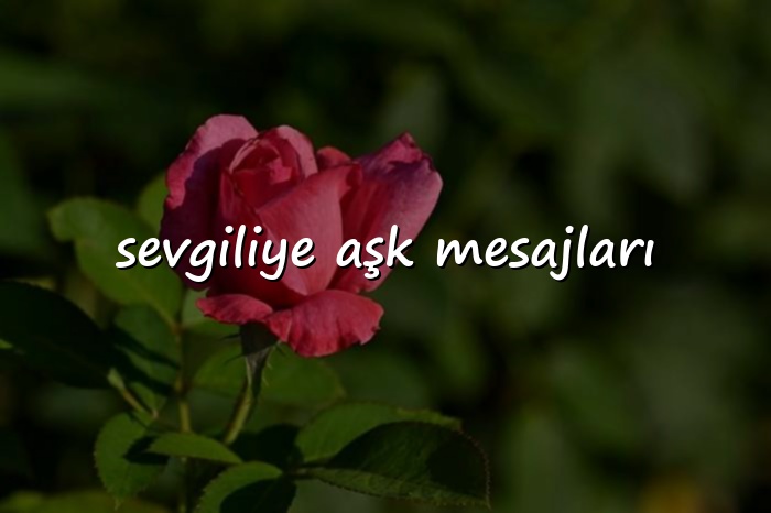 sevgiliye aşk mesajları - 2026