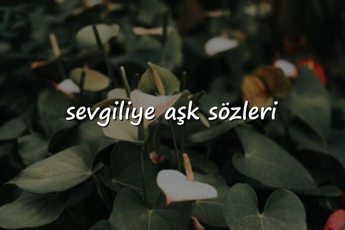 sevgiliye aşk sözleri - 2026