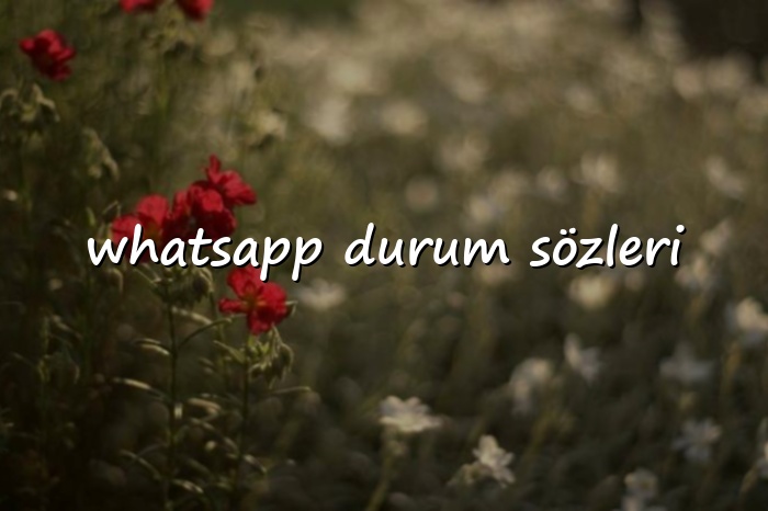 whatsapp durum sözleri - 2026