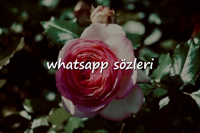 whatsapp sözleri - 2026